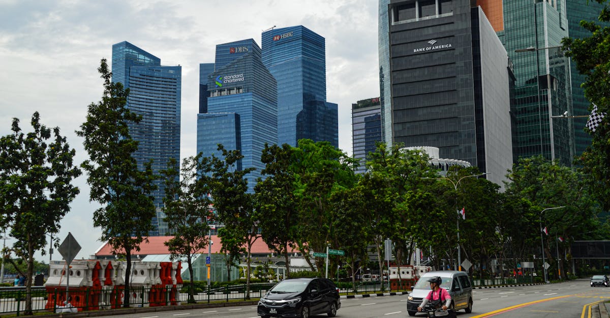 Momentumpress News contact